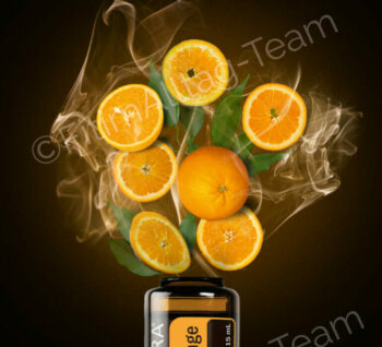 {{brizy_dc_image_alt entityId=